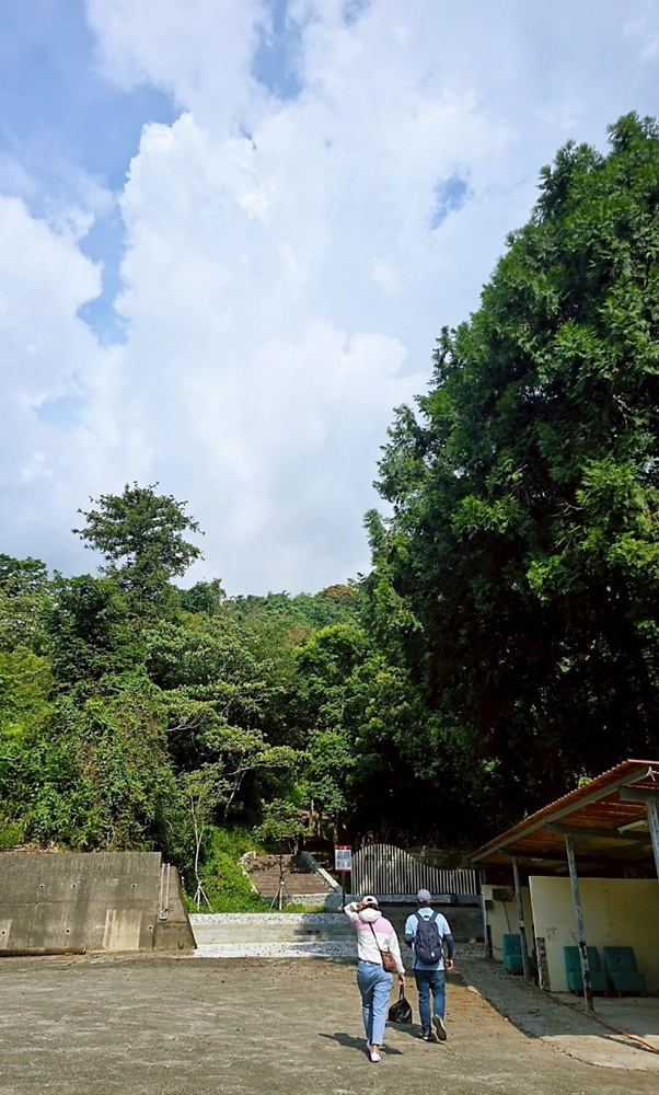 南投埔里新打卡點！鰲頭山步道全新啟用，924階健行賞埔里美景。