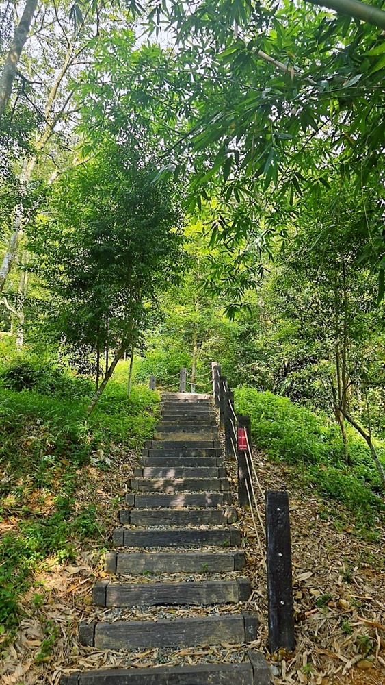 南投埔里新打卡點！鰲頭山步道全新啟用，924階健行賞埔里美景。