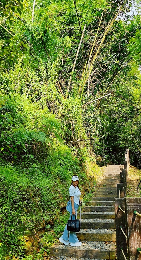 南投埔里新打卡點！鰲頭山步道全新啟用，924階健行賞埔里美景。