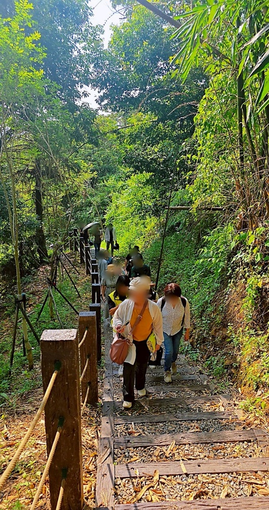 南投埔里新打卡點！鰲頭山步道全新啟用，924階健行賞埔里美景。